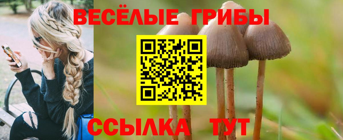 Новый Уренгой  Псилоцибиновые грибы мицелий  Вход с VPN 